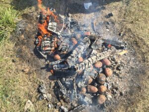 IMG-20190917-WA0001